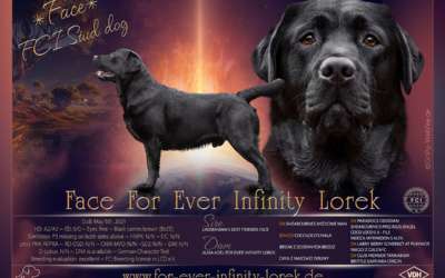 Face For Ever Infinity Lorek